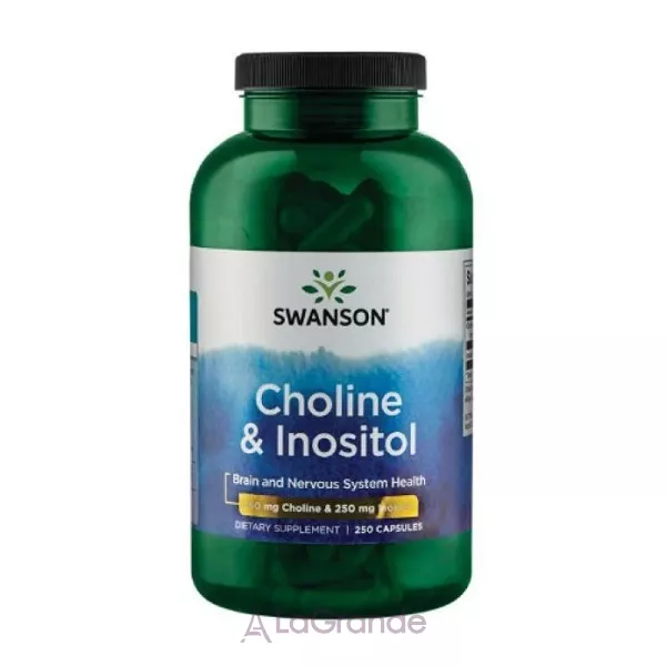 Swanson Choline Inos 250 mg ����������� ������� 