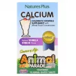 NaturesPlus Source of Life Animal Parade Calcium Children's Chewable Supplement        