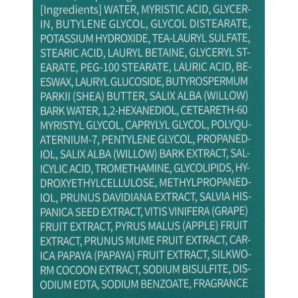 Be The Skin BHA+ Pore Zero Cleansing Foam ��������� ����� ��� ����