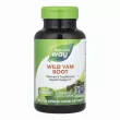 Nature's Way Wild Yam Root Traditional Women`s Healt Support       