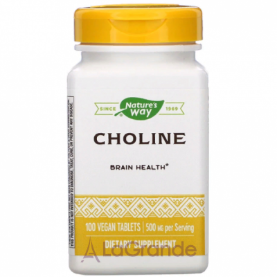 Nature's Way Choline 500 mg ĳ   ' 