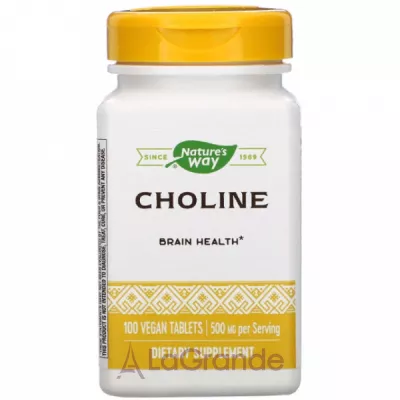 Nature's Way Choline 500 mg     