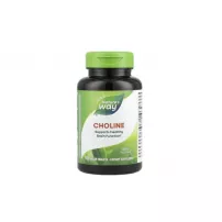 Nature's Way Choline 500 mg ����������� ������� ��� �������� �����