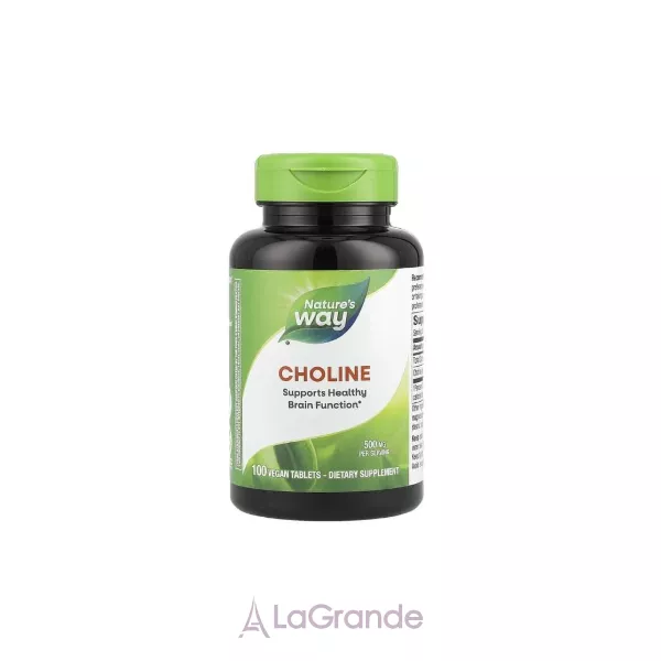 Nature's Way Choline 500 mg ĳ������ ������� ��� ������'� �����