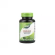 Nature's Way Choline 500 mg 100pcs