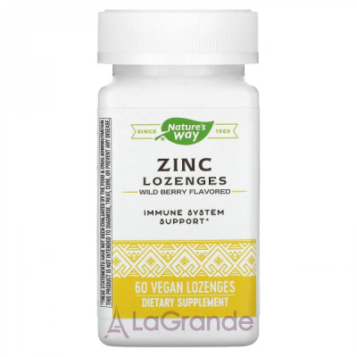 Nature's Way Zinc Lozenges Wild Berry Flavored ĳ          