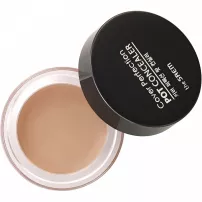 The Saem Cover Perfection Pot Concealer �������� ��� ����