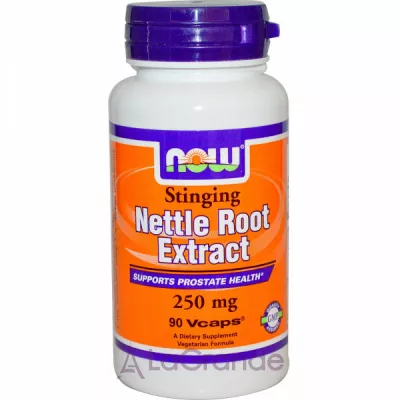 Now Foods Nettle Root Extract ĳ     250 , 