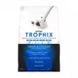 Syntrax Trophix Creamy Cookies   