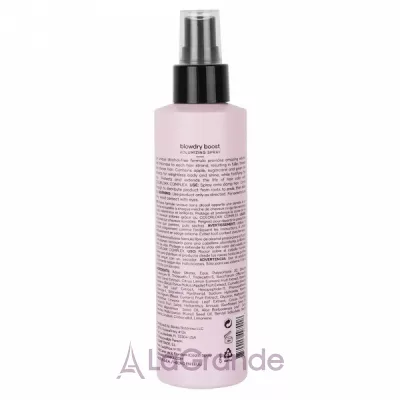 Bokka Botanika Blowdry Boost Volumizing Spray    