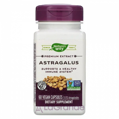 Nature's Way Astragalus Standardized  