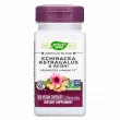 Nature's Way Echinacea Astragalus & Reishi ,   , 1200 