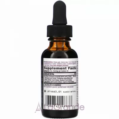 Nature's Way Echinacea Goldenseal     99.9%  