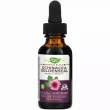 Nature's Way Echinacea Goldenseal     99.9%  