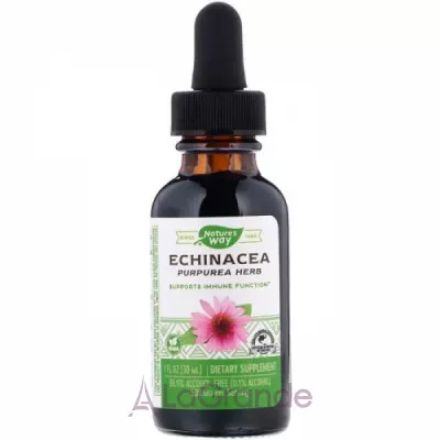 Nature's Way Echinacea   , 500 