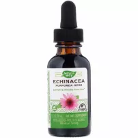 Nature's Way Echinacea �������� ��� ������, 500 ��