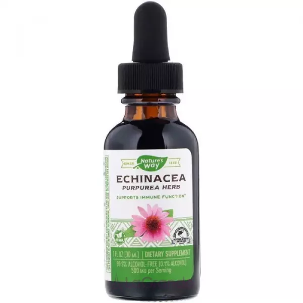 Nature's Way Echinacea �������� ��� ������, 500 ��