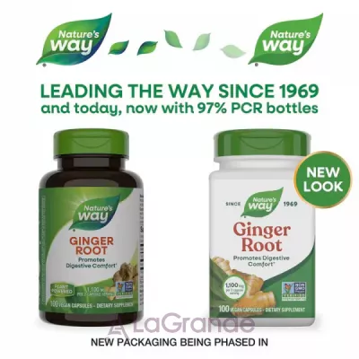 Nature's Way Ginger Root ����� ������ 1100 �� (550 �� � ����� ������)