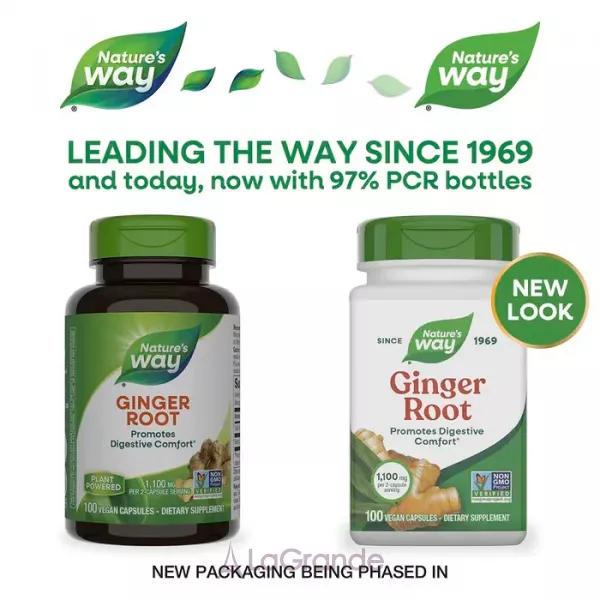 Nature's Way Ginger Root ������ ������ 1100 �� (550 �� � ����� �������)