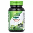 Nature's Way Whole Thallus Kelp  600 