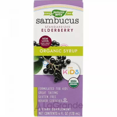 Nature's Way Sambucus Elderberry Organic Syrup for Kids      