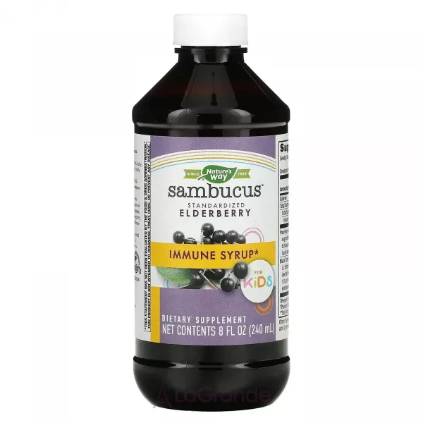 Nature's Way Sambucus Elderberry Organic Syrup for Kids ����� �� ������������ ������ ��� �����