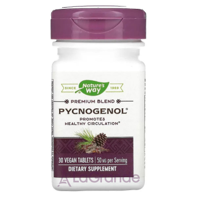 Nature's Way Pycnogenol, Pine Bark Extract, 50 mg ,   , 50 