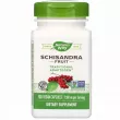 Nature's Way Schizandra Fruit  , , 1160 