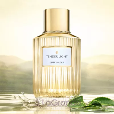 Estee Lauder Tender Light   ()