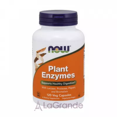 NOW Foods Plant Enzymes     