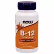 Now Foods Vitamin B-12 1000 mcg with Folic Acid ³ 12  볺 , 1000 