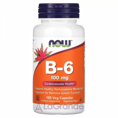 Now Foods B-6 100 mg  6, 100 