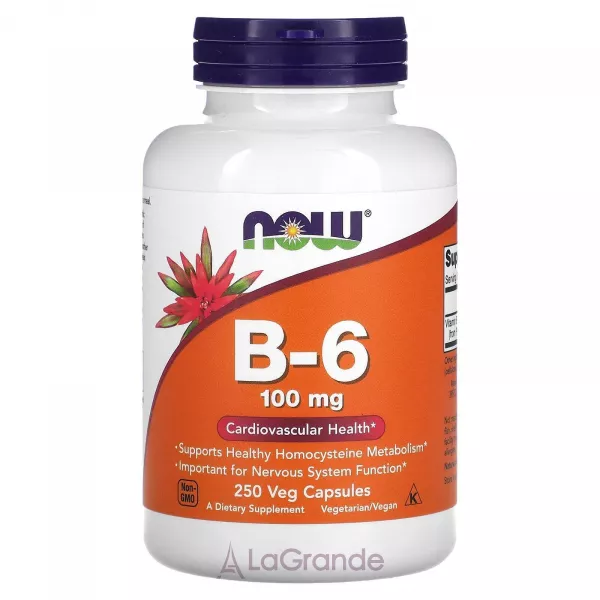 Now Foods B-6 100 mg ������� �6, 100 ��