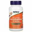 Now Foods Extra Strength Berry Dophilus 50pcs