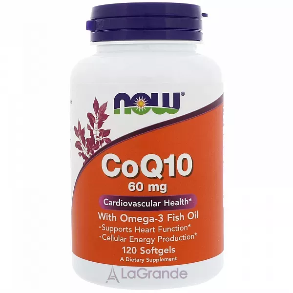 Now Foods CoQ10 60 mg with Omega-3 Fish Oil ������� Q10, 60 ��, � ���'���� �����