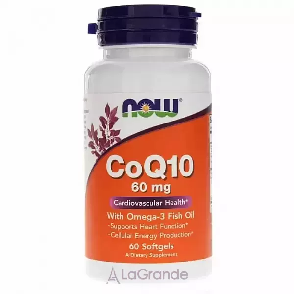 Now Foods CoQ10 60 mg with Omega-3 Fish Oil ������� Q10, 60 ��, � ���'���� �����