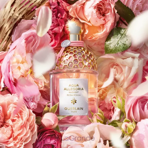 Guerlain Aqua Allegoria Rosa Rossa Harvest �������� ���� (������)