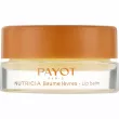 Payot Nutricia Lip Balm   