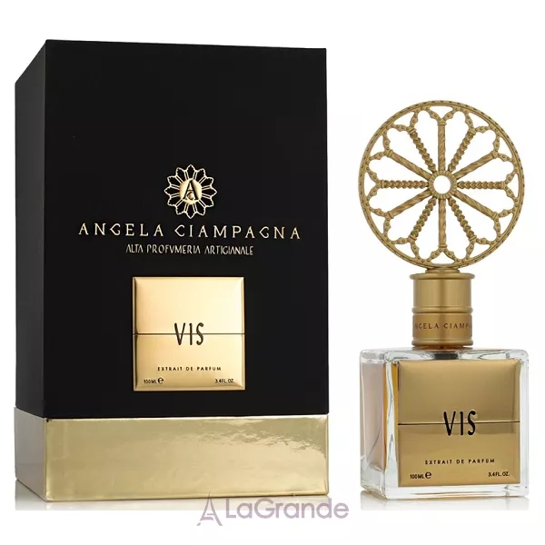 Angela Ciampagna Vis ����