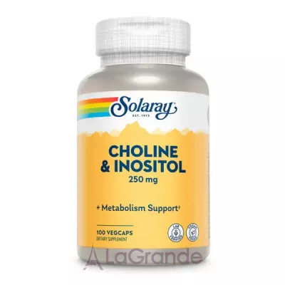 Solaray Choline & Inositol 250  B-    