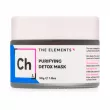 Q+A  The Elements Purifying Detox Mask   -        