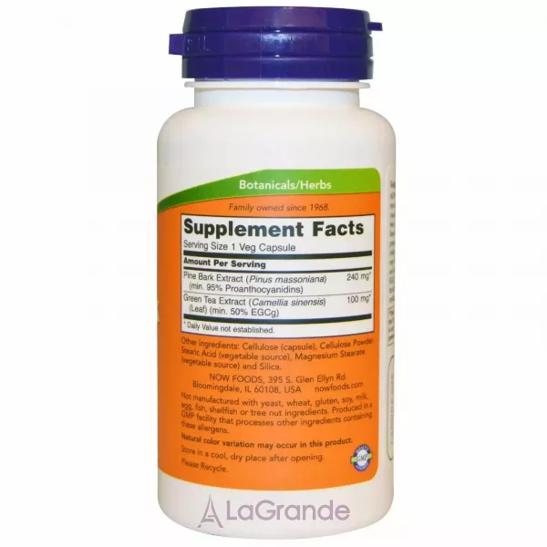 Now Foods Pine Bark Extract 240 mg �������� ������� ����, 240 �� (������ �� ������ ��������)