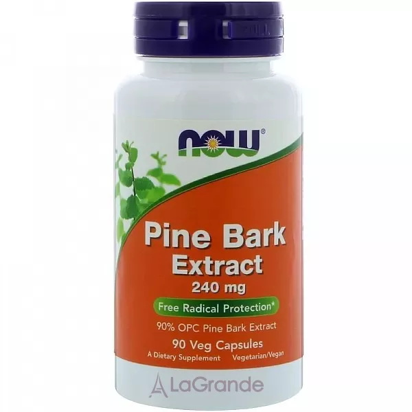 Now Foods Pine Bark Extract 240 mg �������� ������� ����, 240 �� (������ �� ������ ��������)