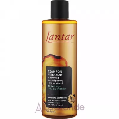 Farmona Jantar Mineral Shampoo          