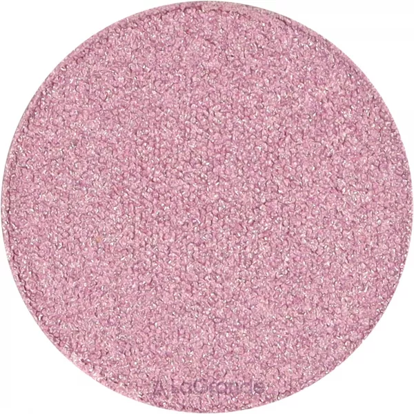 Pierre Rene Metallic Eyeshadow PRO Pallette Match System ҳ�� ��� ���� (������ ����)