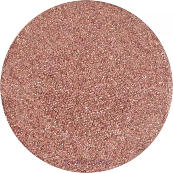 Pierre Rene Metallic Eyeshadow PRO Pallette Match System ҳ�� ��� ���� (������ ����)