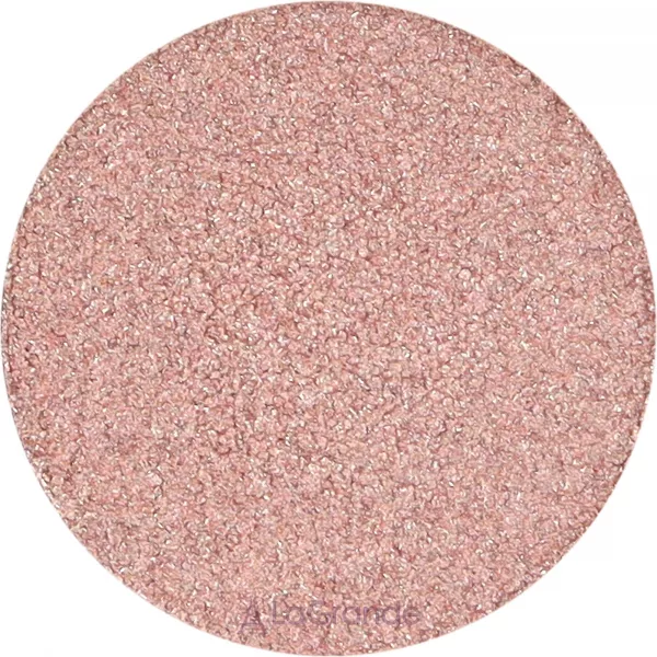 Pierre Rene Metallic Eyeshadow PRO Pallette Match System ҳ�� ��� ���� (������ ����)