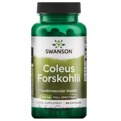 Swanson Coleus Forskohlii 400 mg   