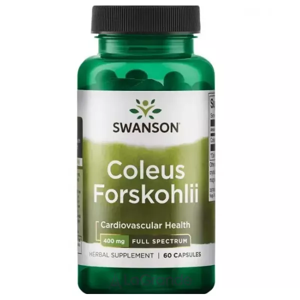 Swanson Coleus Forskohlii 400 mg ������� ������� 