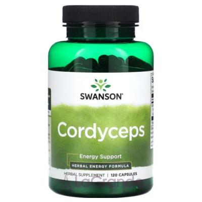 Swanson Cordyceps 600 mg   